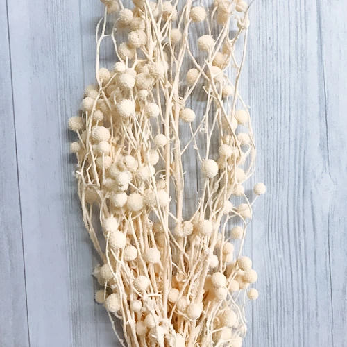 Sago – per bunch