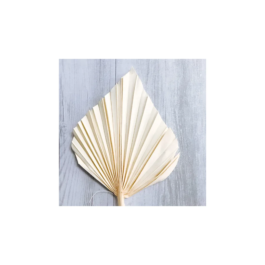 Spear Palm – per stem